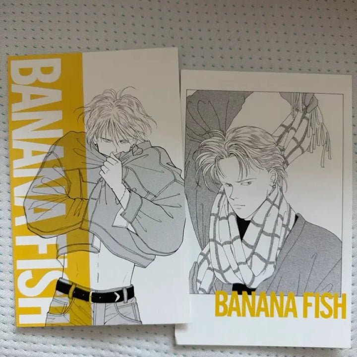 [BUNJANG] Banana Fish Ash Original Art Postcard Set (2 Types) / 급처가)바나나피쉬 애쉬 원화 엽서 2종 세트