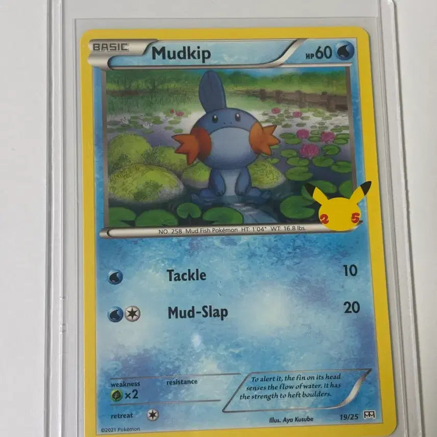 [BUNJANG] Pokemon 25th Anniversary Marshtomp Trading Card / (북미) 포켓몬카드 25주년 물짱이