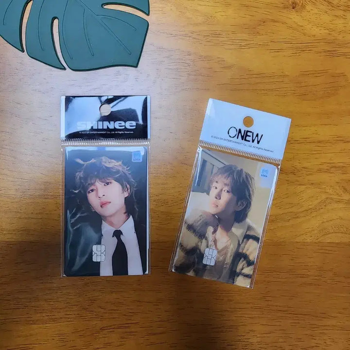 [BUNJANG] SHINee Onew Photocard / 샤이니 온유 카드