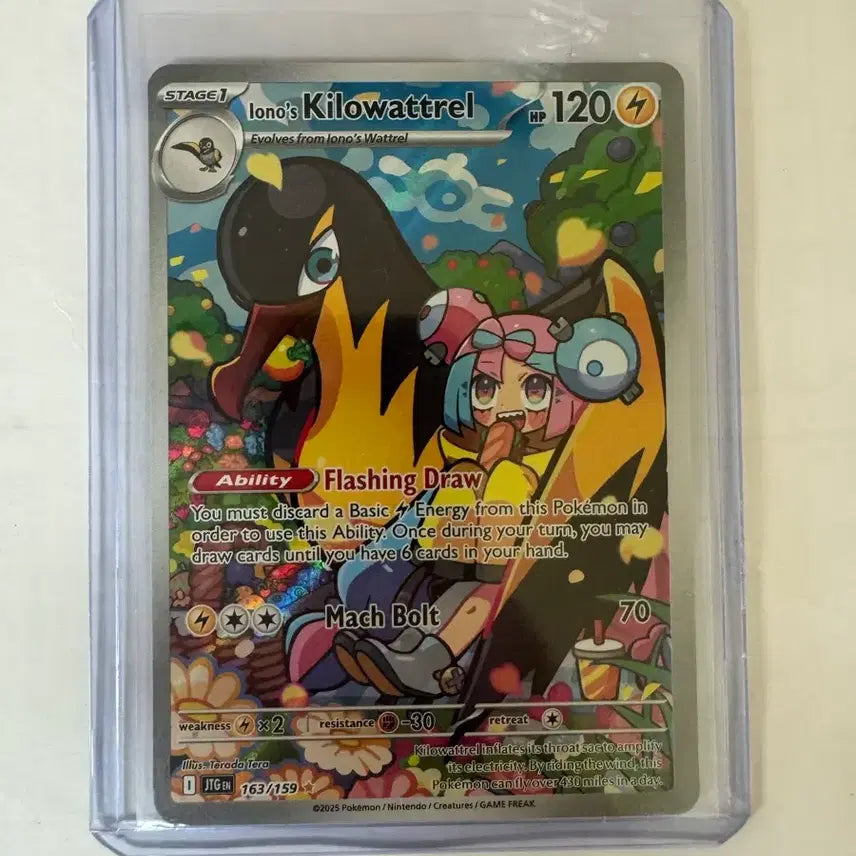 [BUNJANG] Pokemon Card Wattrel / 포켓몬 카드 킬러와트렐