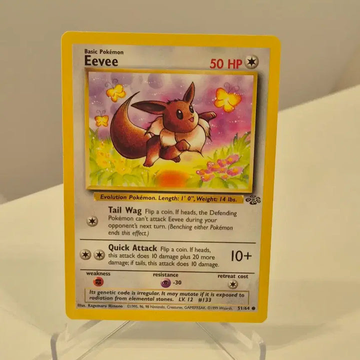 [BUNJANG] Pokemon Cards Bundle Set (North American Edition) / 북미 포켓몬카드 블래키 등 22개 일괄