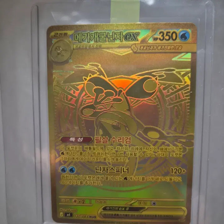 [BUNJANG] Mega Greninja EX Mur / 메가개굴닌자ex mur