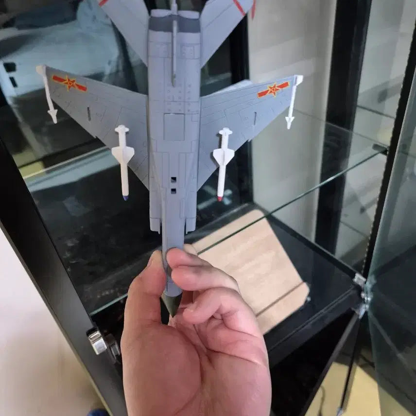 [BUNJANG] Chinese Fighter Jet Model Display Piece / 중국 전투기 모형 팝니다