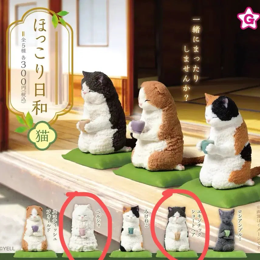 [BUNJANG] Neko Party Tea Time Gachapon Set (Sealed) / (2종 일괄) 다과 고양이 가챠 팝니다! 따뜻한 하루