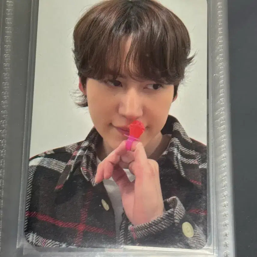 [BUNJANG] Super Junior Kyuhyun Photocard Adola Yokohama / 슈퍼주니어 슈주 규현 포카 양도 아돌라 요코하마
