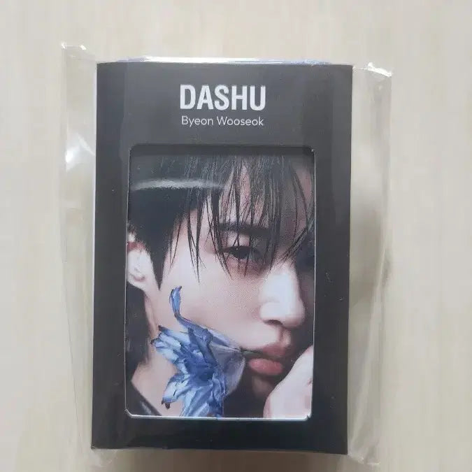 [BUNJANG] Byun Woo-seok Dashu Photocard &amp; Keycap Set / 변우석 다슈포토카드,키캡