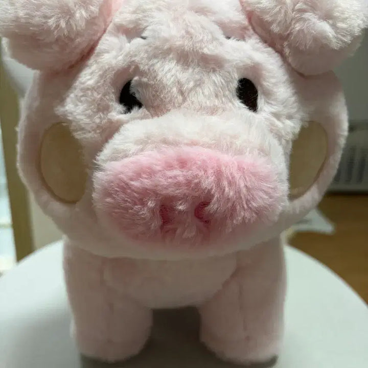 [BUNJANG] Pink Pig Plush Set (2 Pieces) / 핑크색 돼지 인형 2개 세트