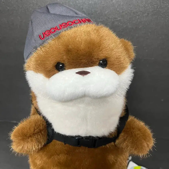 [BUNJANG] Woosoo Woosoo Plush Doll Dark Brown 28cm / 우소우소인형 대학로 우소우소짱 다크브라운 28cm