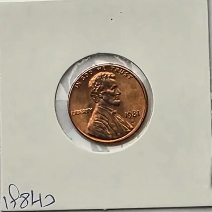 [BUNJANG] 1981-D Lincoln Cent Penny (Uncirculated, Denver) / 링컨 1센트 1981_D 년도 미사용 덴버 페니