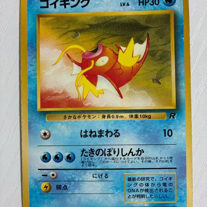 [BUNJANG] Pokemon Card 1996 Magikarp / 포켓몬카드 초기 1996 잉어킹