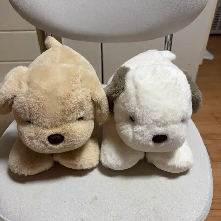 [BUNJANG] Golden Retriever Dog Plush Set / 리트리버 강아지 인형 세트 택O