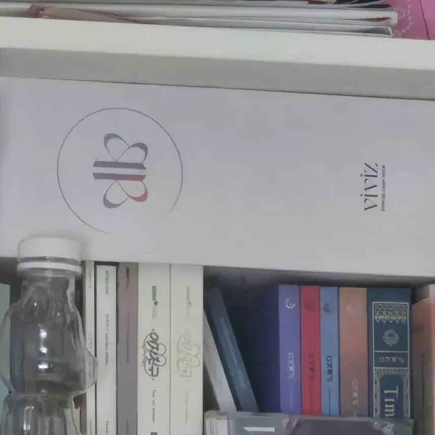 [BUNJANG] Viviz Lightstick / 비비지 응원봉 나비봉 대갈봉 판매합니다