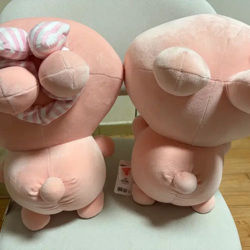 [BUNJANG] Asamimichan Large Doll Set 38cm New / 아사미미짱 대형 인형 세트 38cm 새상품