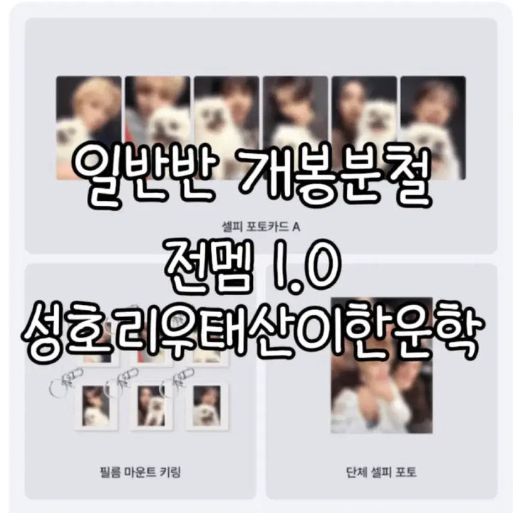 [BUNJANG] BOYNEXTDOOR Regular Album Split Set with POB / 보넥도 일반반 앨범 분철 특전포함