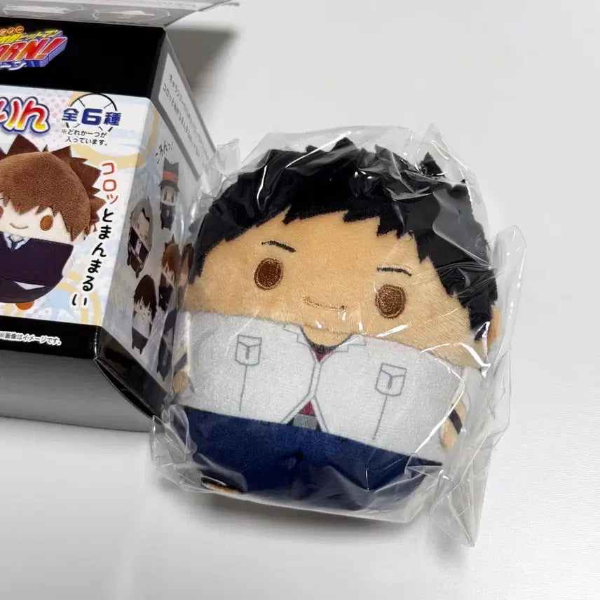 [BUNJANG] Katekyo Hitman Reborn! Gokudera Hayato Fuwa Kororin Plush / 가정교사 히트맨 리본 가히리 야마모토 후와코로링