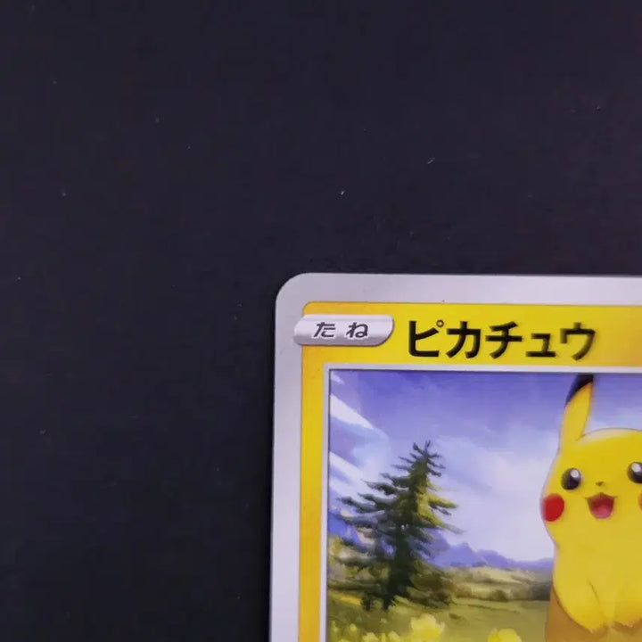 [BUNJANG] Pikachu 026/069 C Eevee Heroes Pokémon Card Japanese / 피카츄 026/069 C 이브이 히어로즈 포켓몬카드 일본판 일판