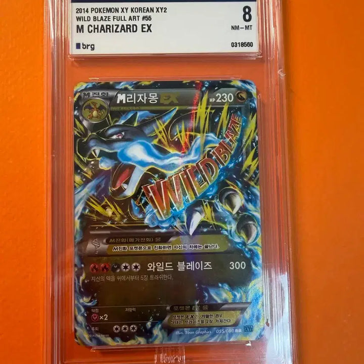 [BUNJANG] Charizard &amp; Pikachu Cards Bundle / 와일드 리자몽 brg 8 찬란한 리자몽 brg 9 심쿵피카츄
