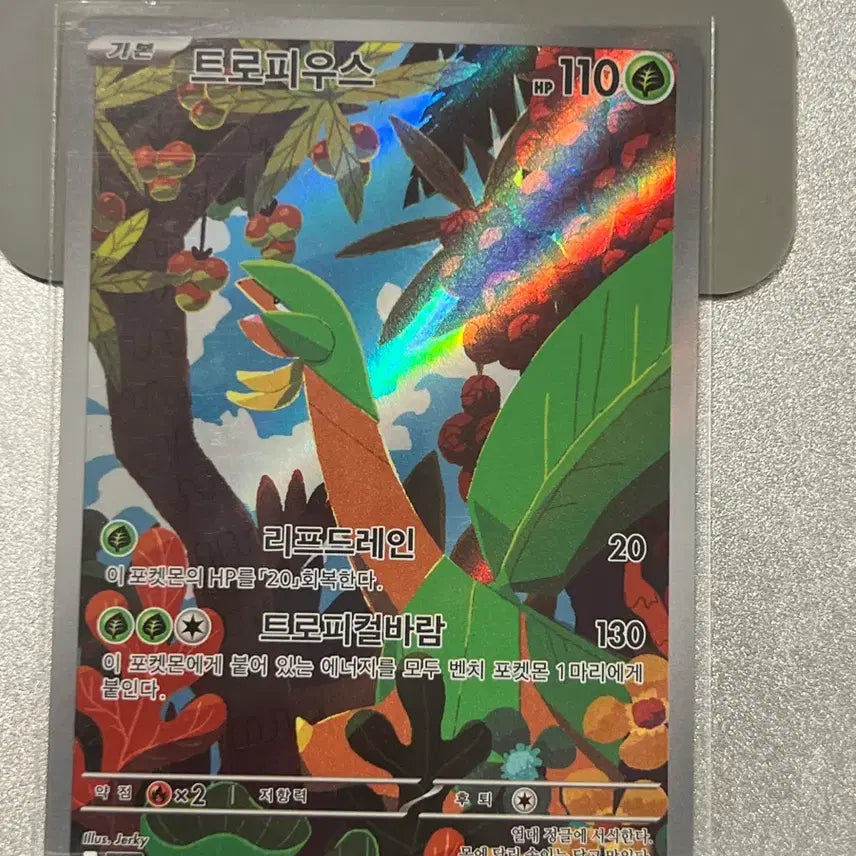[BUNJANG] Pokemon Card Tropius AR / 포켓몬카드 트로피우스 AR
