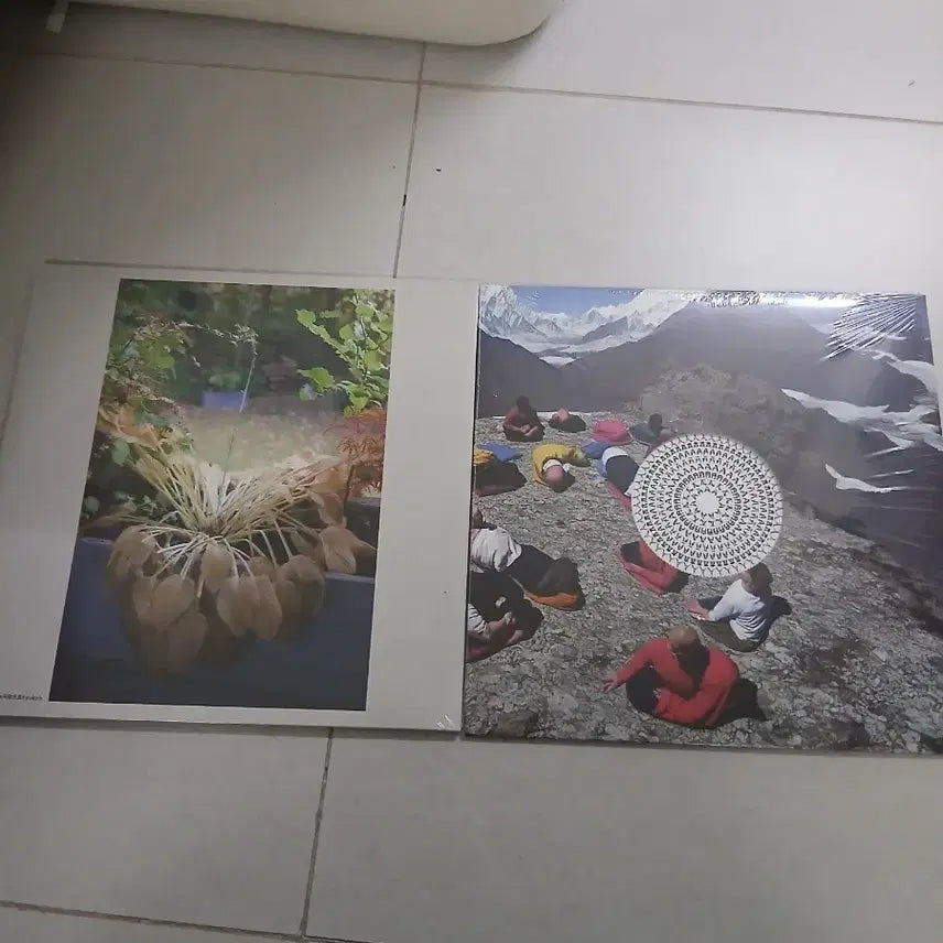 [BUNJANG] Hyukoh Sunset Rollercoaster AAA+ Sarang-euro LP / 혁오 선셋롤러코스터 aaa+사랑으로 lp
