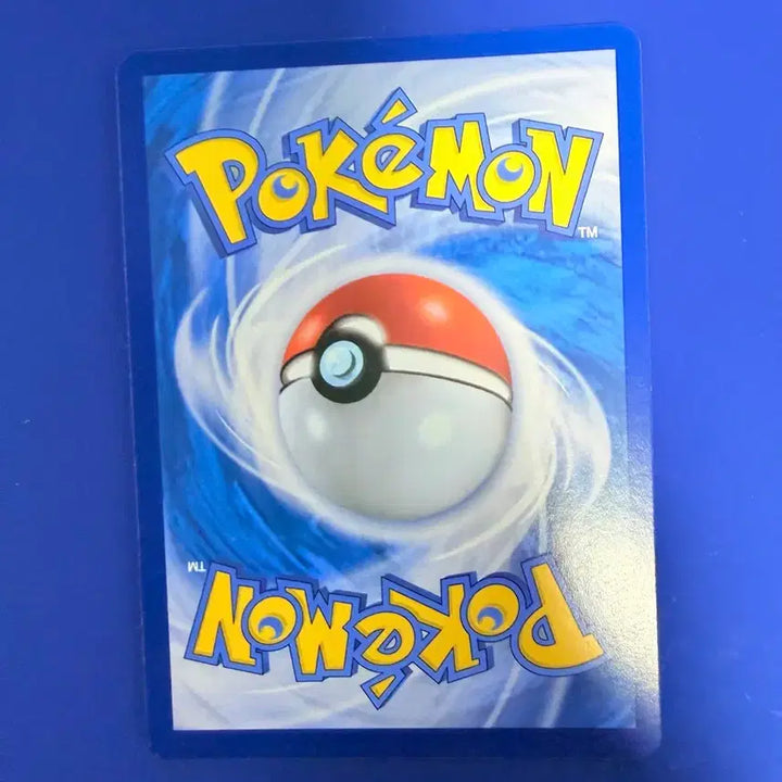 [BUNJANG] Pokemon Card Novocan Card / 포켓몬카드 노보청 카드