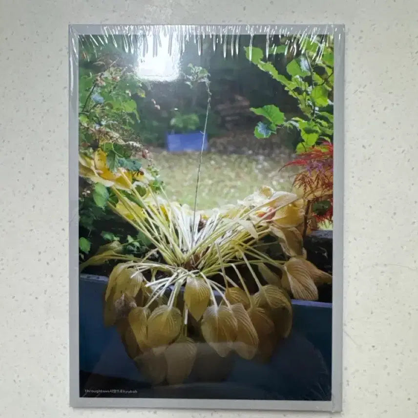 [BUNJANG] Hyukoh Love Poem CD (Reissue) / 혁오 사랑으로 cd 판매(재발매)