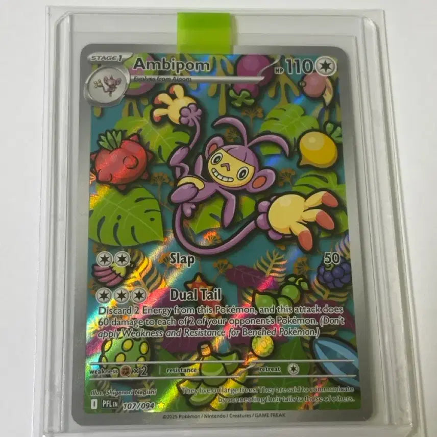 [BUNJANG] Pokemon Card Ghet Hansung AR / (북미) 포켓몬 카드 겟핸보숭 AR