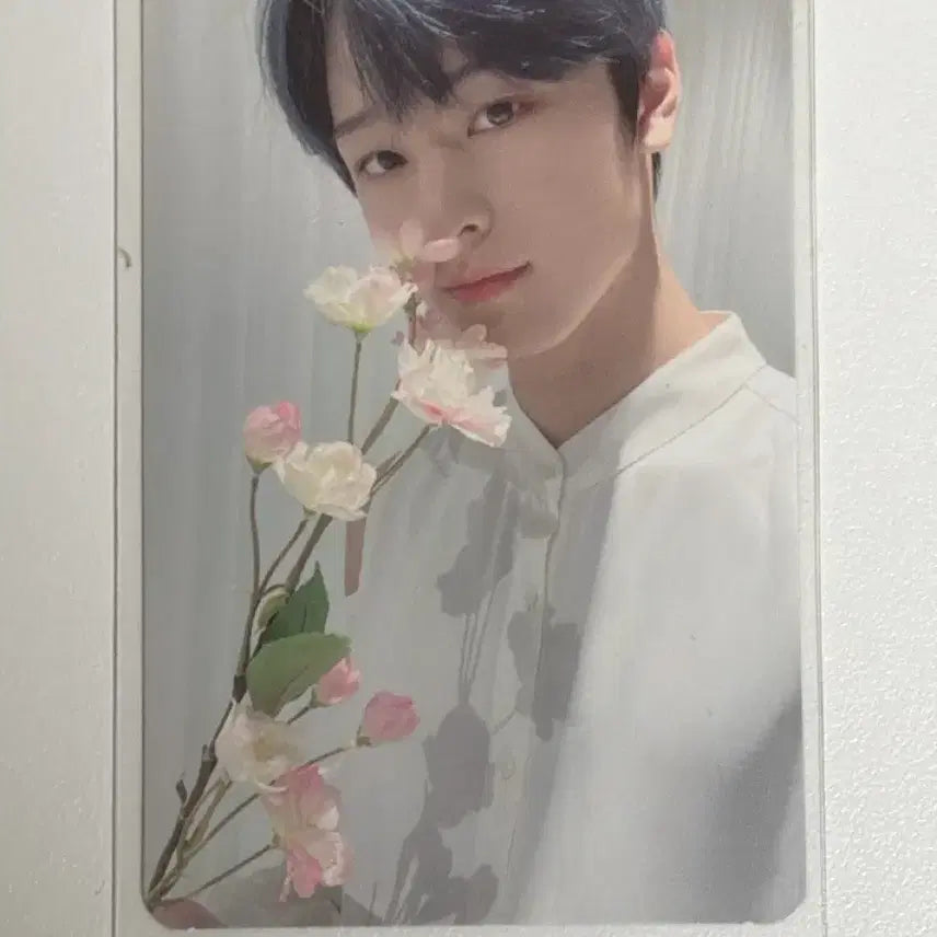 [BUNJANG] The Boyz Juyeon Photocard / 더보이즈 주연 북램프 도원경 포카