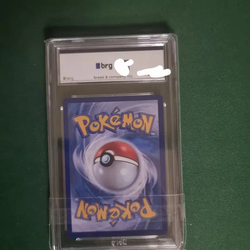 [BUNJANG] Pokemon Card Pavikco AR BRG 10 / 포켓몬카드 파비코 ar brg 10