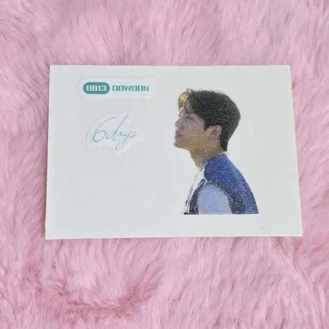 [BUNJANG] Day6 Dowoon Six Days Ttibu Seal / 데이식스 도운 식스데이즈 띠부씰