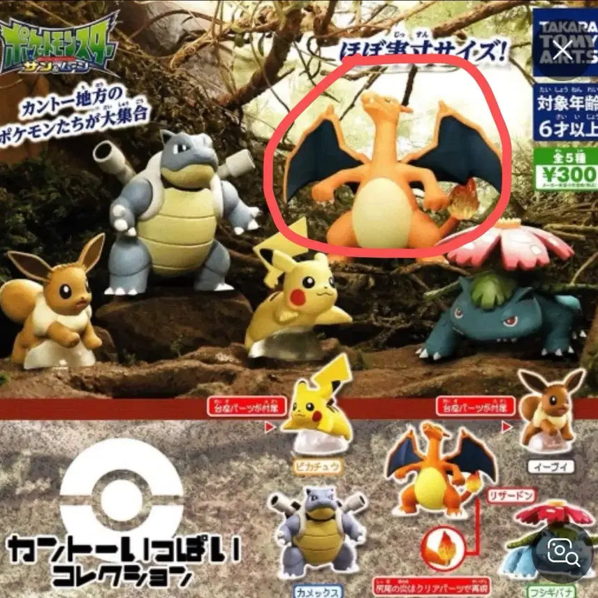 [BUNJANG] Pokemon Gacha Kanto Region Charmander / 포켓몬스터 가챠 관동지방 가득 리자몽