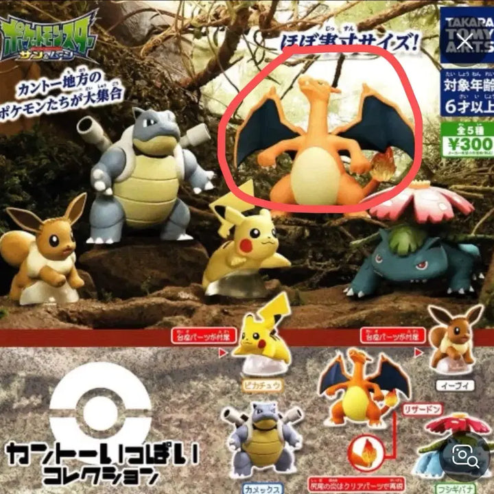 [BUNJANG] Pokemon Gacha Kanto Region Charmander / 포켓몬스터 가챠 관동지방 가득 리자몽