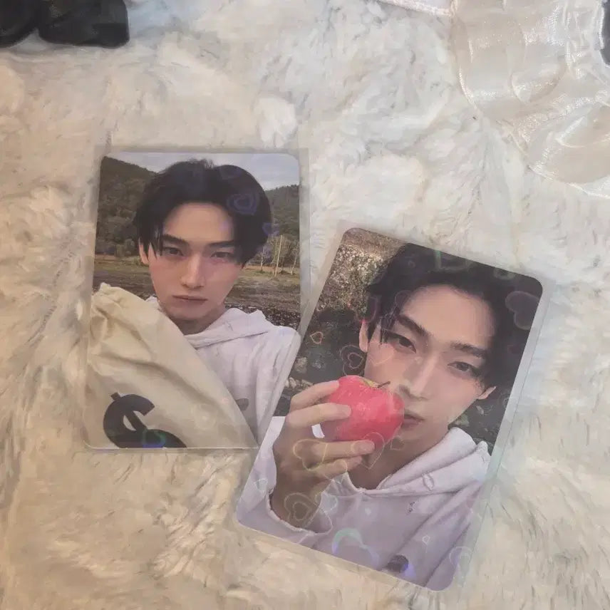 [BUNJANG] ENHYPEN Sunoo Engine Edition Bundle Set Photocard / 일괄||엔하이픈 선우 엔진반 포카