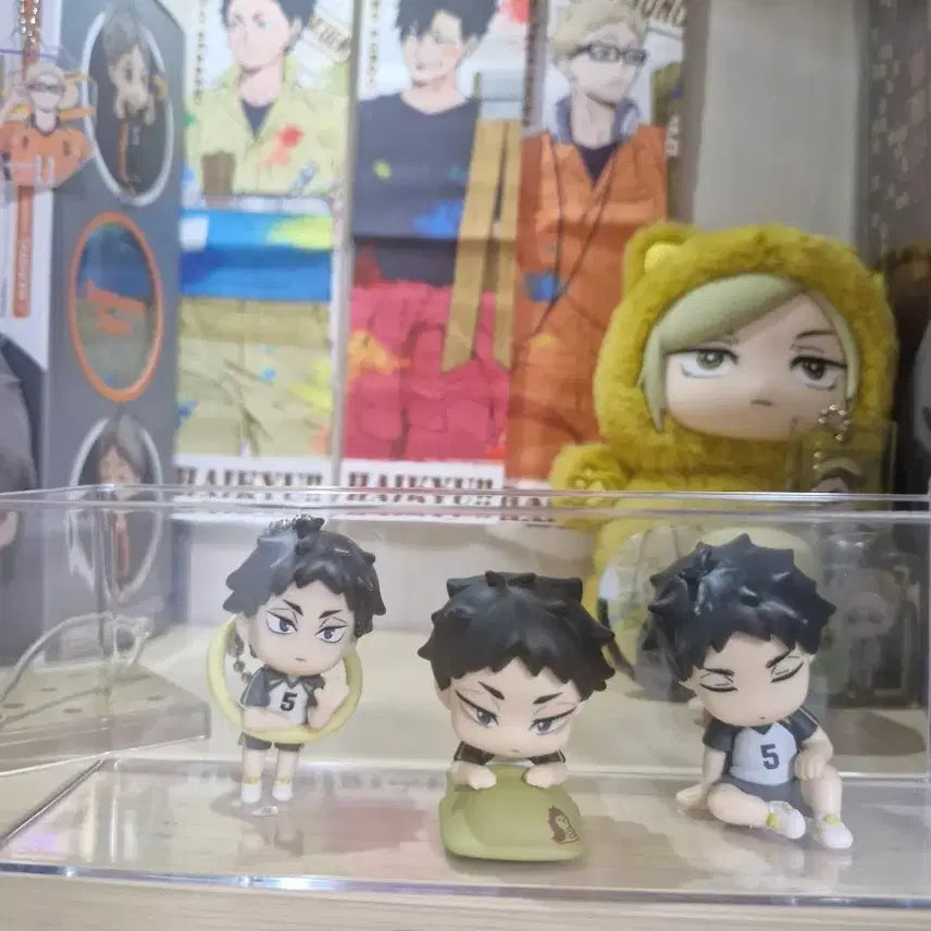 [BUNJANG] Haikyu!! Akaashi Gacha Set (3 Types) / 하이큐 아카아시 가챠 3종 일괄