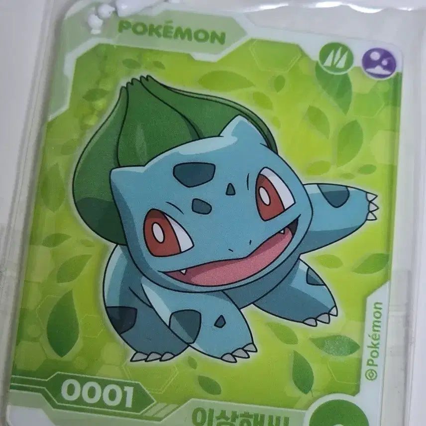 [BUNJANG] Pokemon Bulbasaur Acrylic Keyring / 포켓몬 이상해씨 아크릴 키링