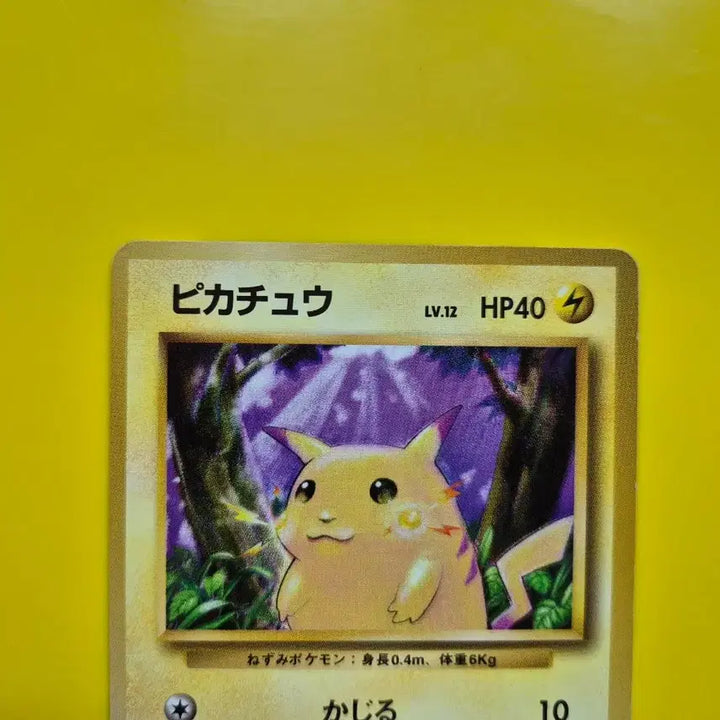[BUNJANG] Pokemon Card 1996 Pikachu First Edition Japanese / 포켓몬카드 1996 큰 피카츄 초판 일판 일본판 10