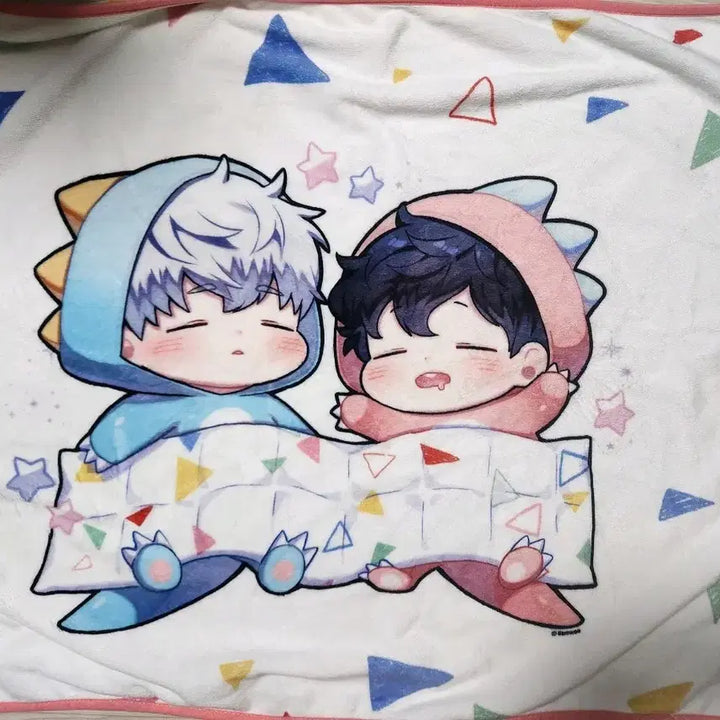 [BUNJANG] Winter Passing Cherry Blossom BL Blanket / 겨울 지나 벚꽃 BL 담요(웹툰샵