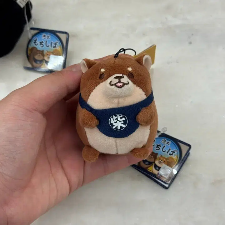 [BUNJANG] Shiba Inu Plush Keychain Set / 시바이누 인형 키링