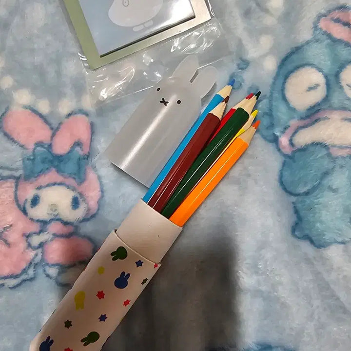 [BUNJANG] Miffy Frame, Magnet, Photocard Holder Bundle Set / 미피 액자, 마그넷, 포카홀더 등 일괄:)