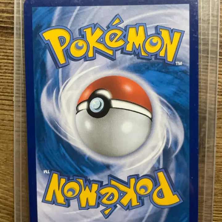 [BUNJANG] Garchomp V SR / 한카리아스 V sr