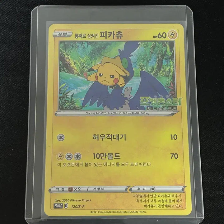 [BUNJANG] Pokemon Card - Pikachu (Swallowed Whole) / 포켓몬스터 카드 통삼피(통째로 삼켜진 피카츄)