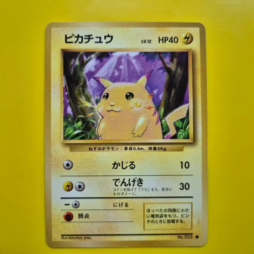 [BUNJANG] Pokemon Card 1996 Pikachu 1st Edition Japanese Centering Good / 포켓몬카드 1996 큰 피카츄 초판 센터링굿 일판 일본판 4