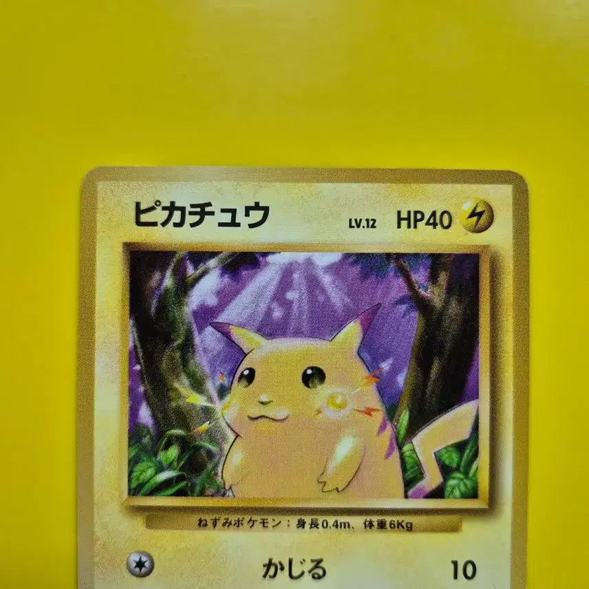 [BUNJANG] Pokemon Card 1996 Pikachu 1st Edition Japanese Centering Good / 포켓몬카드 1996 큰 피카츄 초판 센터링굿 일판 일본판 4