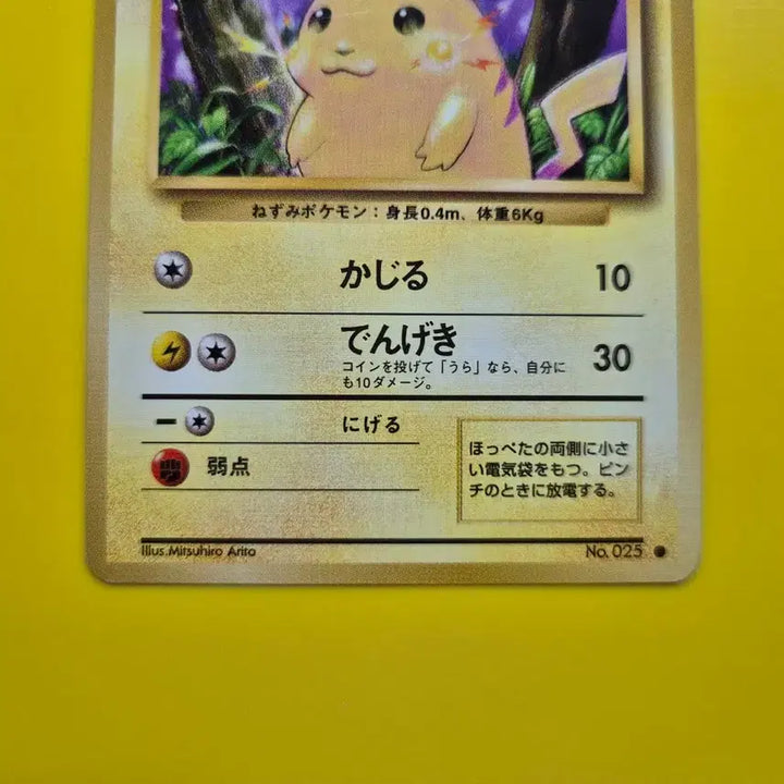 [BUNJANG] Pokemon Card Pikachu 1st Edition Japanese / 포켓몬카드 1996 큰 피카츄 초판 일판 일본판 7
