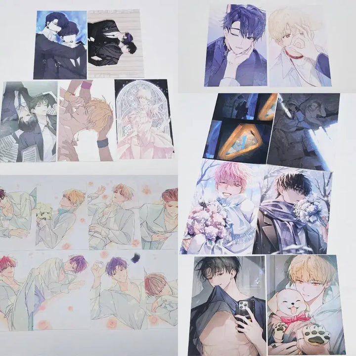 [BUNJANG] Debut or Die (Demotjook) Bundle Set Postcard/Photo/Print Photo / 일괄)데뷔 못 하면 죽는 병 걸림 데못죽 굿즈 엽서/프박 양도합니다.
