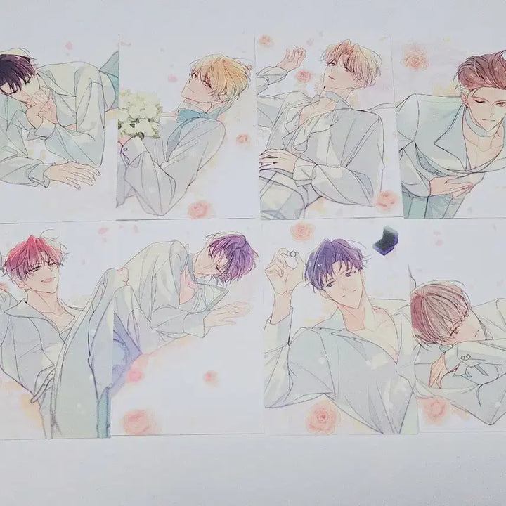 [BUNJANG] Debut or Die (Demotjook) Bundle Set Postcard/Photo/Print Photo / 일괄)데뷔 못 하면 죽는 병 걸림 데못죽 굿즈 엽서/프박 양도합니다.