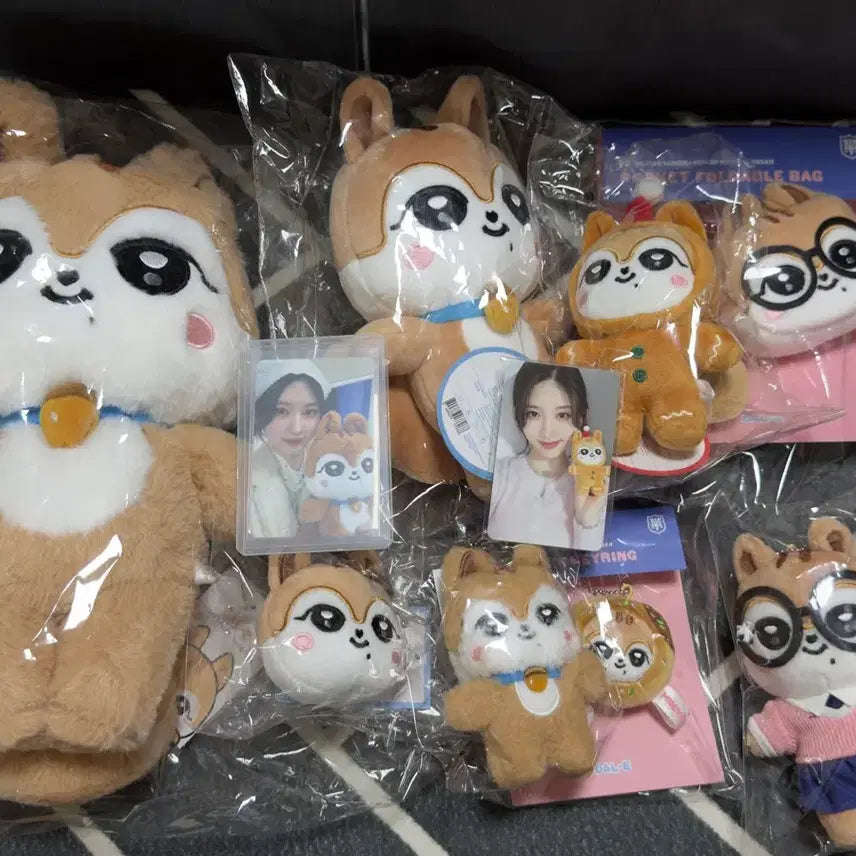 [BUNJANG] IVE Gaeul Mini IVE Goods Bundle Set / 아이브 가을 ive 굿즈 미니브 일괄 양도 달이