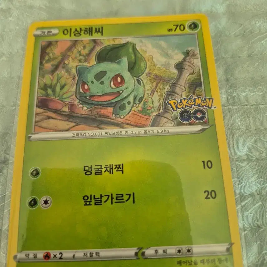 [BUNJANG] Pokemon Card Bulbasaur, Ivysaur, Venusaur Bundle Set / 포켓몬 카드 이상해씨 이상해풀 이상해꽃