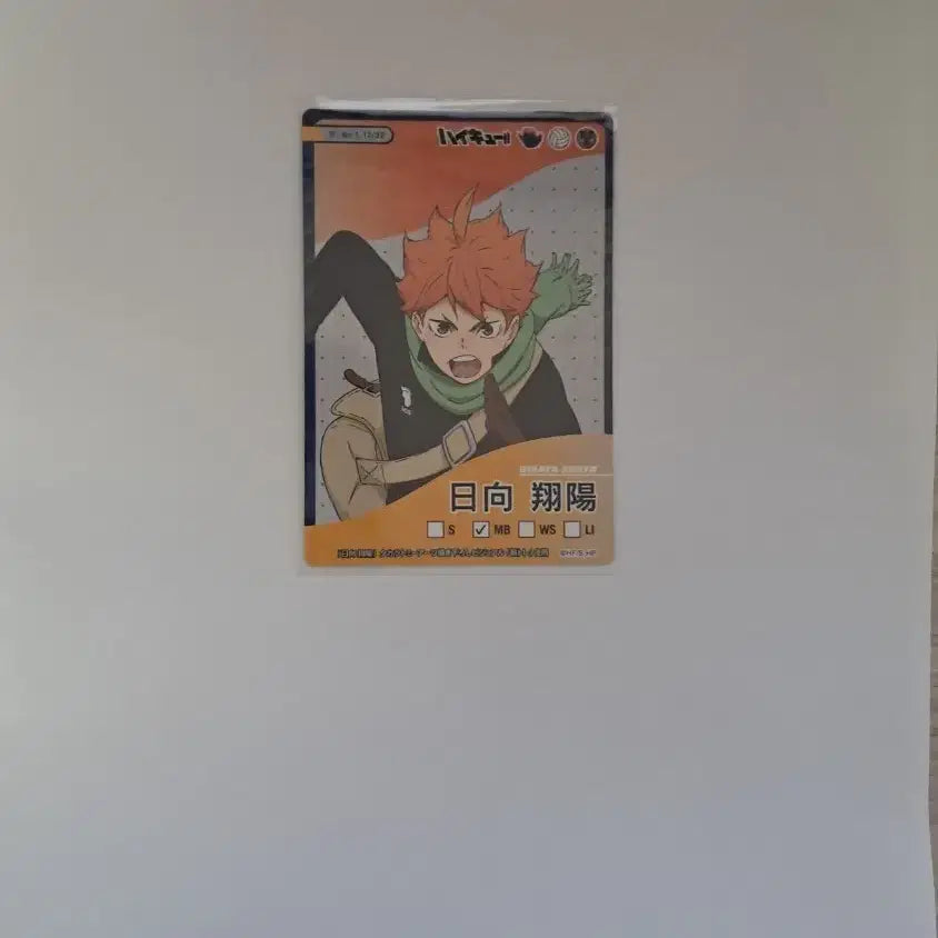 [BUNJANG] Haikyuu!! Hinata Shoyo Character Card / 하이큐 히나타 카드