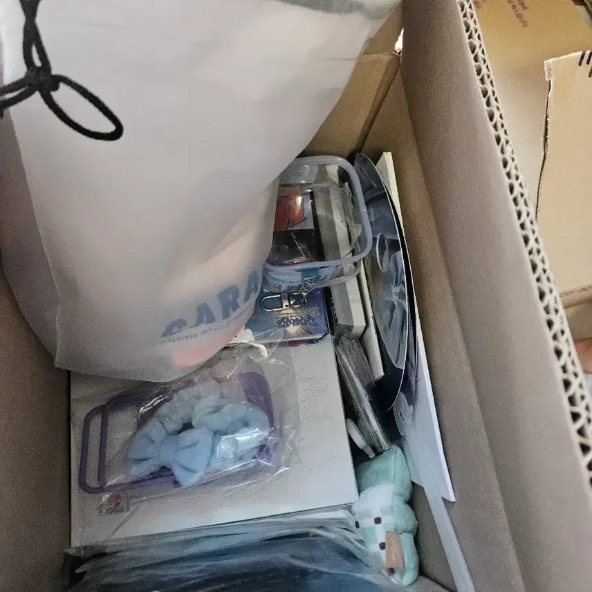 [BUNJANG] SEVENTEEN Various Merchandise Bundle / 이사처분) 세븐틴 굿즈 나눔급 처분