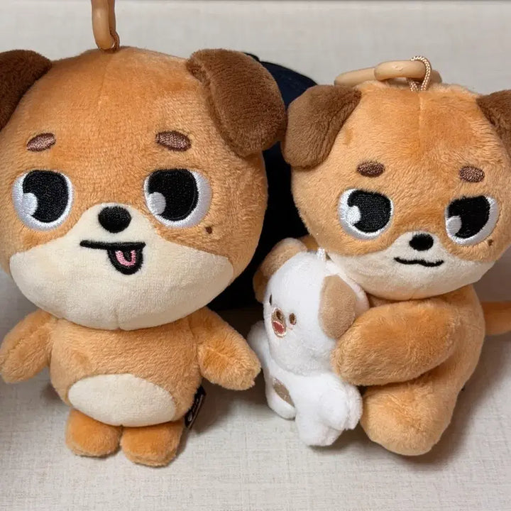 [BUNJANG] DAY6 Dowoon Denimals Don Plush Doll Keychain / 데이식스 DAY6 도운 데니멀즈 돈 인형 키링 원가이하 새상품